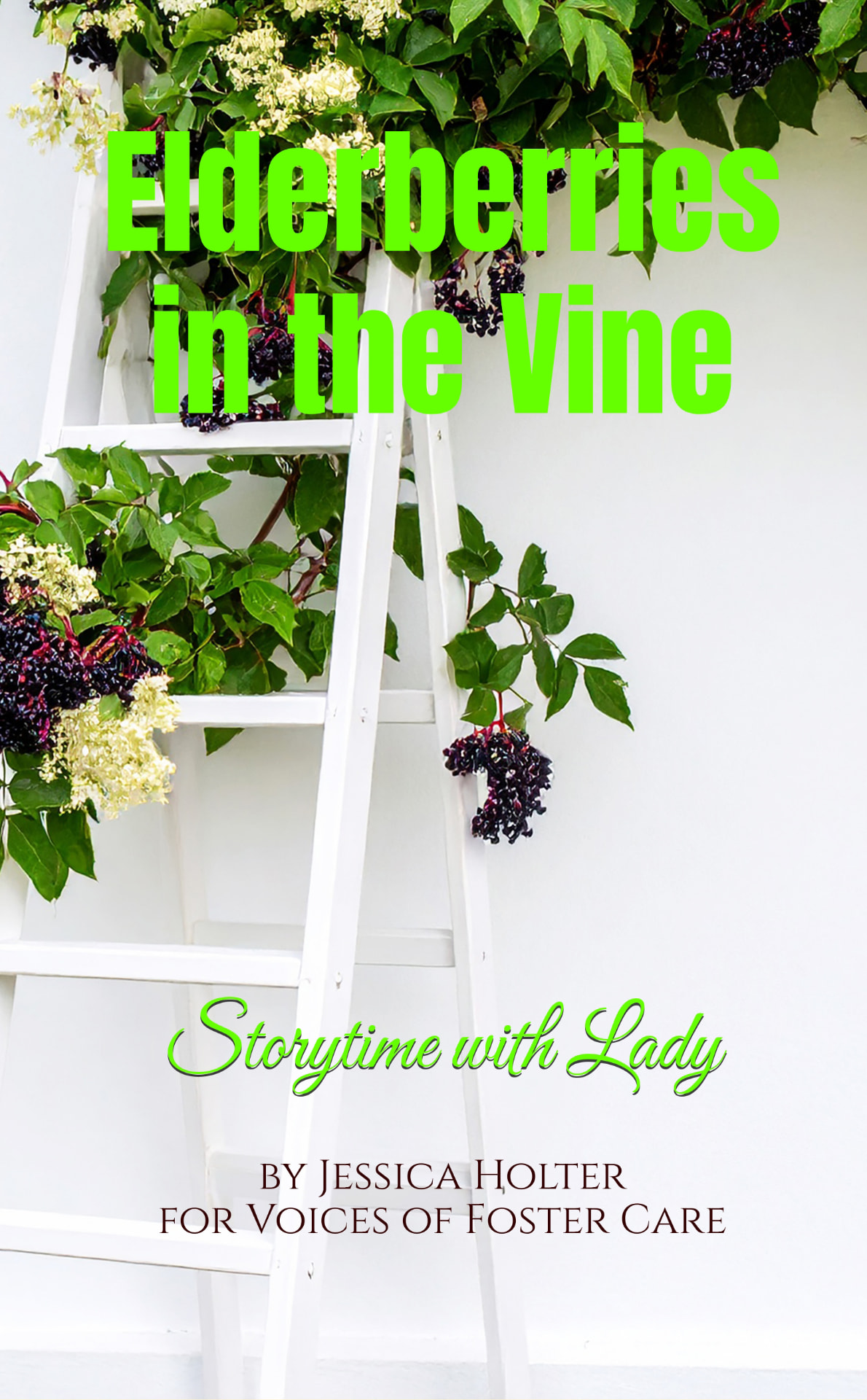 Storytime with Lady — Elderberries in the Vine book cover